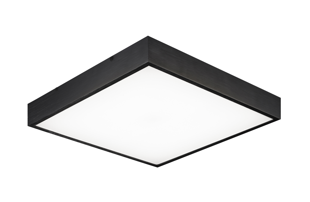 Kashi Oxidized Black Ceiling Mount
