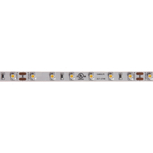 Dainolite DLT-2748 - DLT-2748